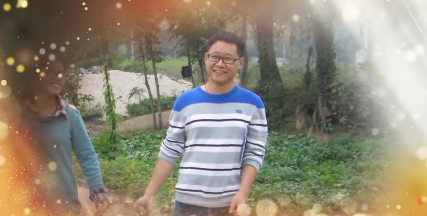 夏花，在风雨中绽放