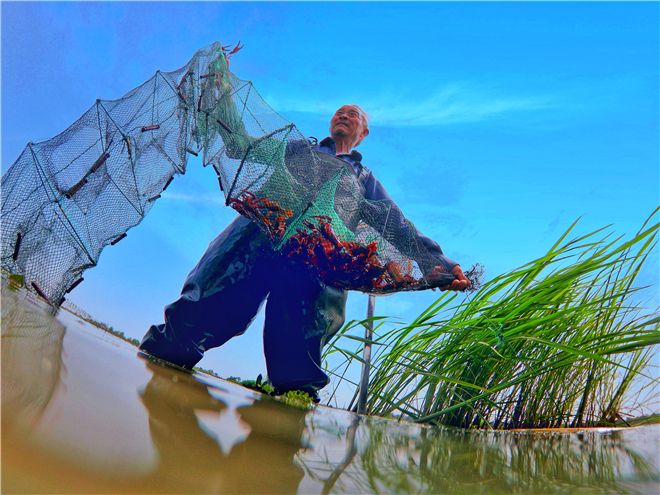 镜头 | 兴产业 助脱贫