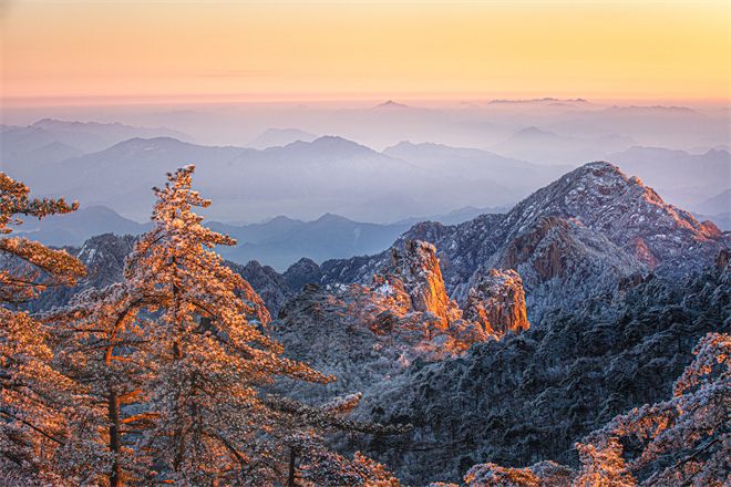跟着镜头品诗词 | 冬之物语