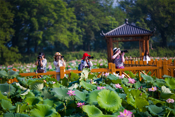 鏡頭 | 日影短至 盛夏始長