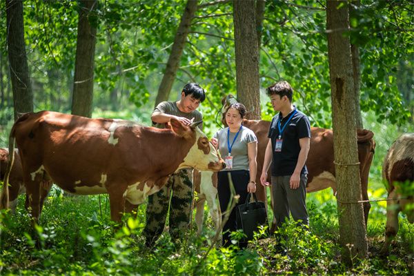 镜头 | 监督护航乡村振兴