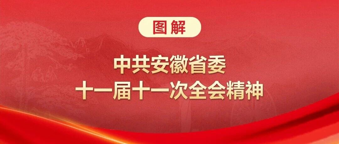 图解中共安徽省委十一届十一次全会精神