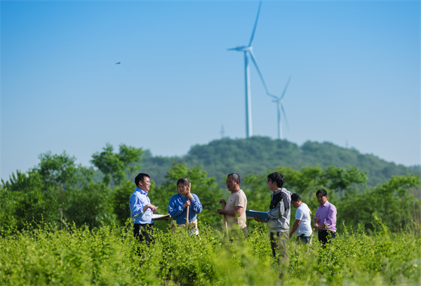 滁州：坚定不移正风肃纪反腐 推动政治生态向善向好