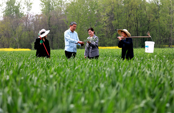 镜头｜雨生百谷 万物逢时