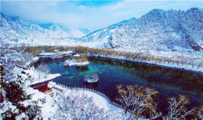 【镜头】寒辞冬雪 岁梦方觉