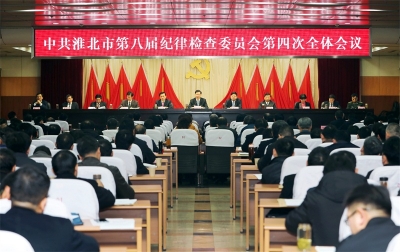 淮北：以全面从严治党推动党中央和省委决策部署在淮落地生根