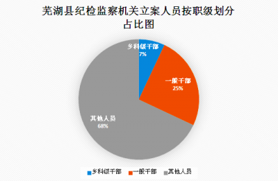 芜湖县：一图读懂全县纪检监察机关2018年监督检查、审查调查情况