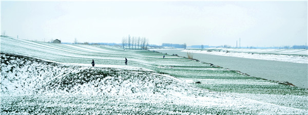 镜头│春来又是一场雪 银妆素裹扮泗州