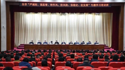 【“严强转”在行动】阜阳：坚持综合施策 专题举办“严强转防保促”培训