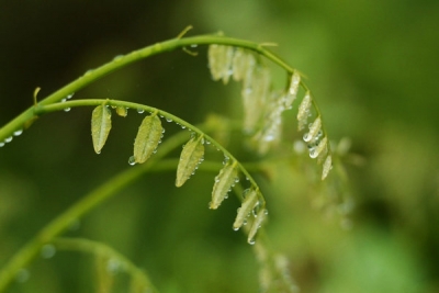 镜头│春水初生  雨泽万物