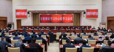 【“严强转”在行动】合肥：市委理论学习中心组围绕整治形式主义官僚主义开展集中学习研讨