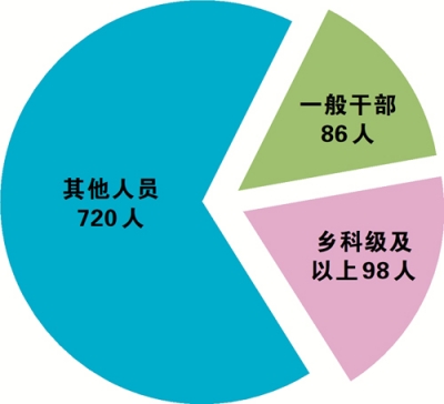 合肥：上半年立案1115件处分917人