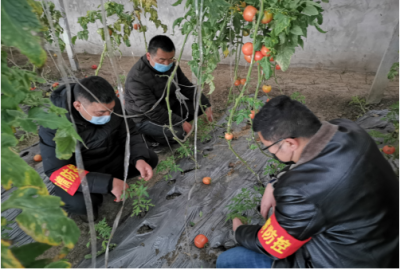 蚌埠：全链条跟进监督 保障群众“菜篮子”