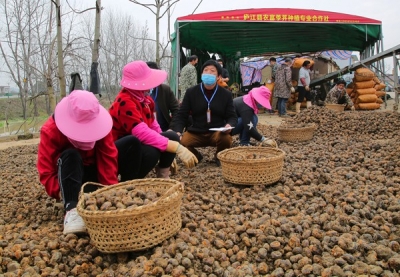 庐江：主动履责精准监督 助力打赢脱贫攻坚战