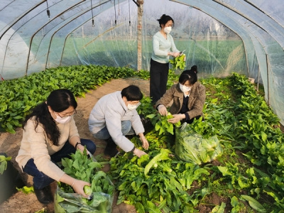 淮北：情暖三八节 爱心献基层