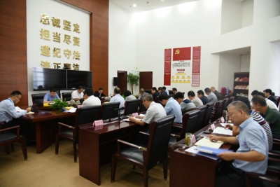 合肥：强化政治监督 推动高质量发展