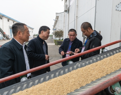 芜湖湾沚：紧盯农田到餐桌 坚决保障粮食安全