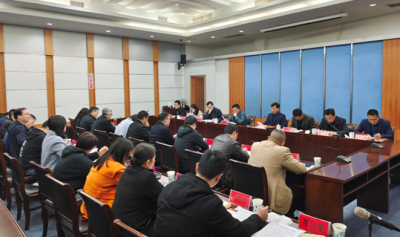 芜湖湾沚：“四结合”做细做实巡视整改工作
