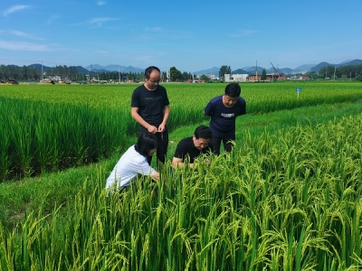 池州：监督绷紧粮食“安全弦” 护航稳住农业“基本盘”