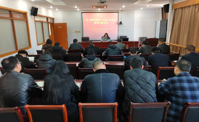 芜湖湾沚：多种形式深入学习贯彻党的十九届六中全会精神