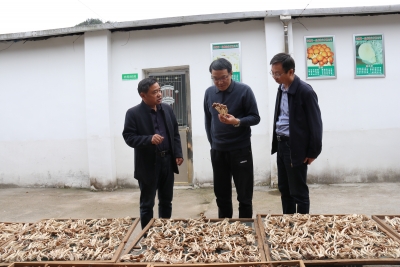 安庆：推动政治监督具体化常态化 以改革创新具体举措维护好群众切身利益