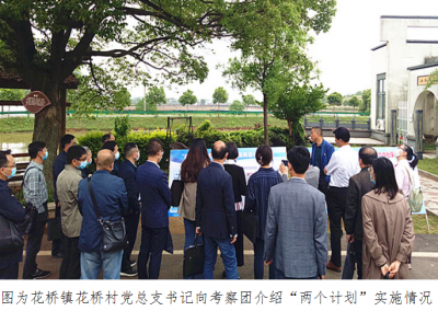 芜湖湾沚：找准基层监督“小切口” 助推乡村振兴“大变局”