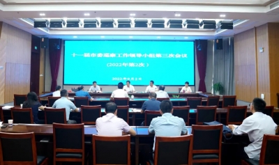 铜陵：十一届市委巡察工作领导小组第三次会议召开