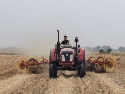 泗县：靠前监督压实责任 护航夏粮颗粒归仓