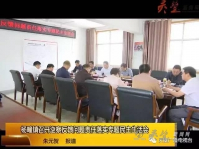 楊疃鎮召開巡察反饋問題責任落實專題民主生活會