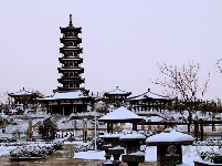 鐘馗文化園雪景