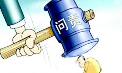 疫苗案，问责的板子为何打到他们身上？带你读懂问责制度