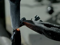 【镜头】锤笔铁墨绘丹青