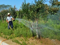【镜头】离离暑云散 袅袅凉风起
