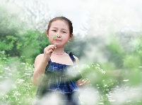 【镜头】离离暑云散 袅袅凉风起