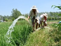 【镜头】离离暑云散 袅袅凉风起