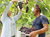 【镜头】离离暑云散 袅袅凉风起