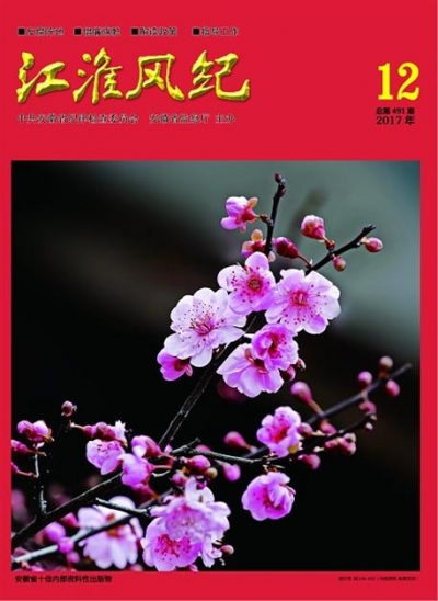 《江淮风纪》2017年第12期导读