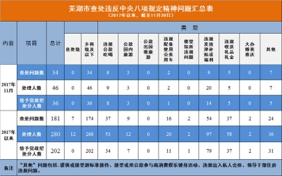 芜湖：前11个月查处违反中央八项规定精神问题181起
