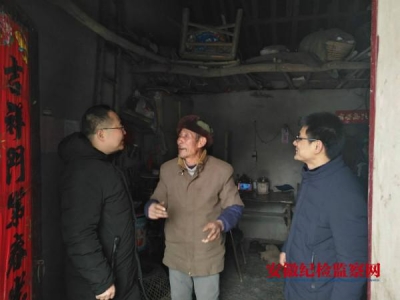 铜陵：开展强降雪低温冰冻天气防范应对专项督查