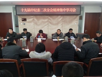 繁昌：学研结合深入学习十九届中央纪委二次全会精神