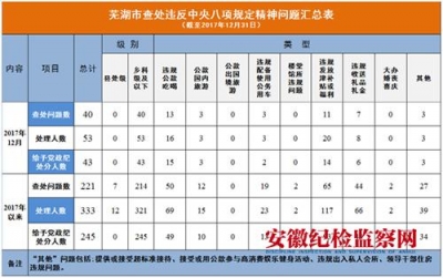 芜湖：2017年共查处违反中央八项规定精神问题221起