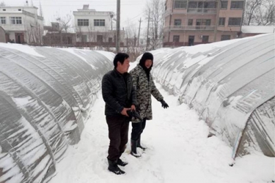 【镜头】芜湖鸠江：广大党员迎战风雪纪实