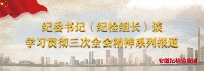 不断深化政治巡视巡察 ——纪委书记（纪检组长）谈学习贯彻三次全会精神  系列报道之四