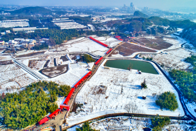 【镜头】瑞雪兆丰年 喜气迎新春
