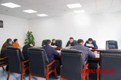 六安：提高政治站位 切实抓好省纪委全会精神的贯彻落实