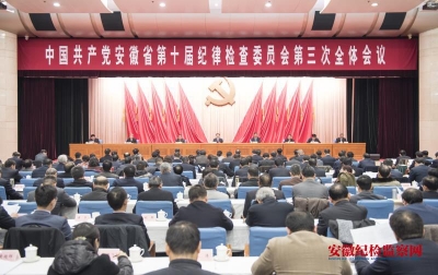 安徽省纪委十届三次全会闭幕