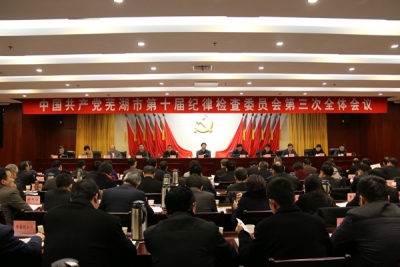 芜湖：全面加强纪律建设 切实担负起全面从严治党政治责任