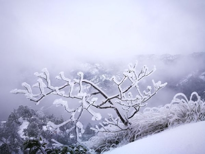 【镜头】只为等一场雪的冬天