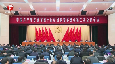 【纪检动态】李锦斌在省纪委十届三次全会上强调 一刻不停歇地推进党风廉政建设和反腐败斗争 以永远在路上的执着把全面从严治党引向深入