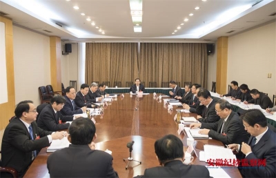 安徽省纪委十届三次全会进行分组讨论